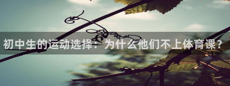 7m体育篮球：初中生的运动选择：为什么他们不上体育课？