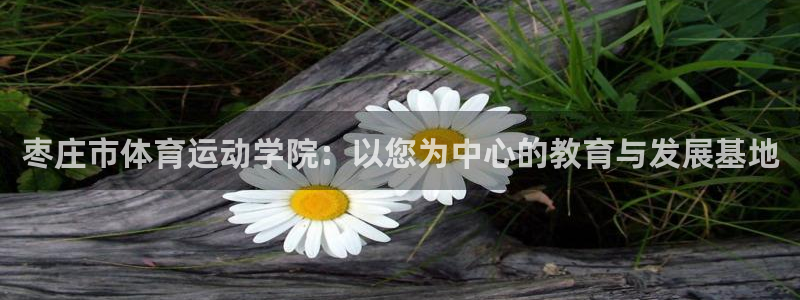 7m体育平台：枣庄市体育运动学院：以您为中心的教育与发展基地