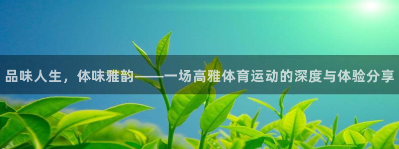 7m体育网：品味人生，体味雅韵——一场高雅体育运动的深度与体验分享