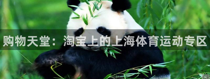 7m体育比分：购物天堂：淘宝上的上海体育运动专区