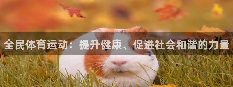 7m体育足球：全民体育运动：提升健康、促进社会和谐的力量